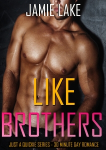 Like Brothers: We Shouldn't Be Doing This by Jamie Lake